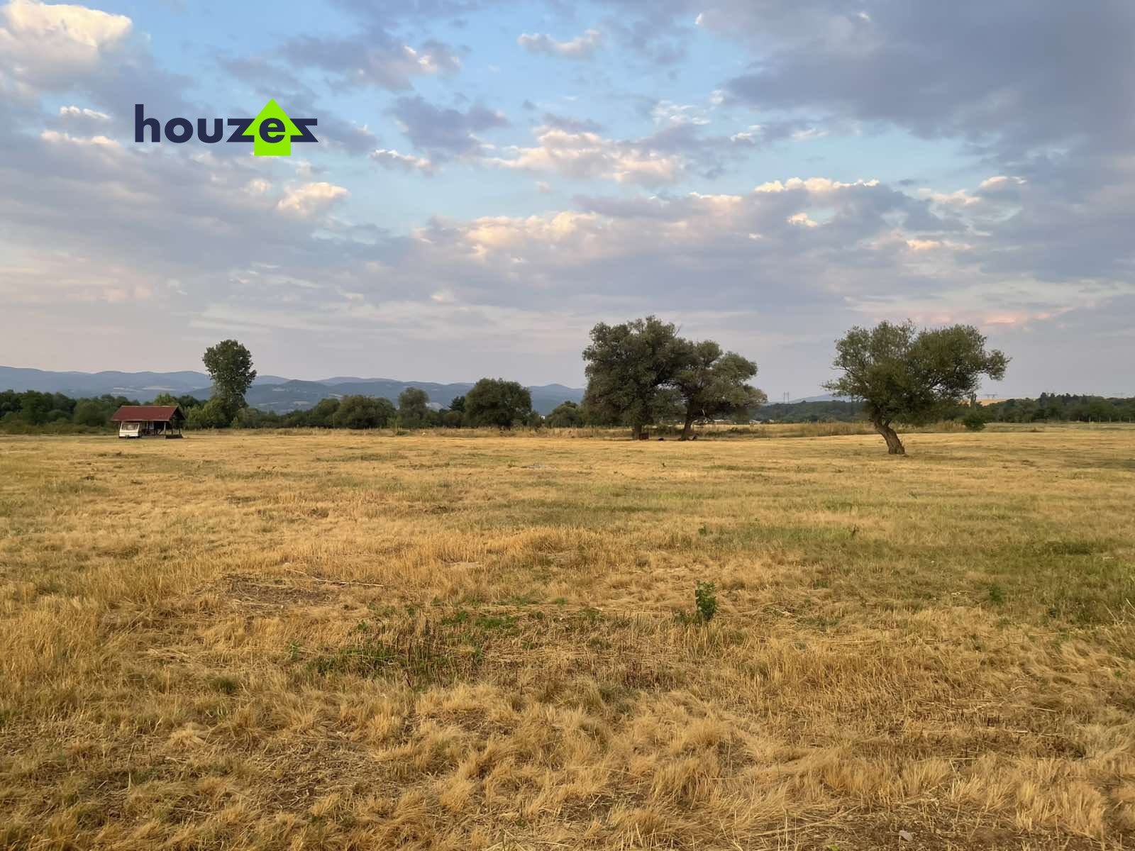 viber_изображение_2025-01-08_14-29-17-500