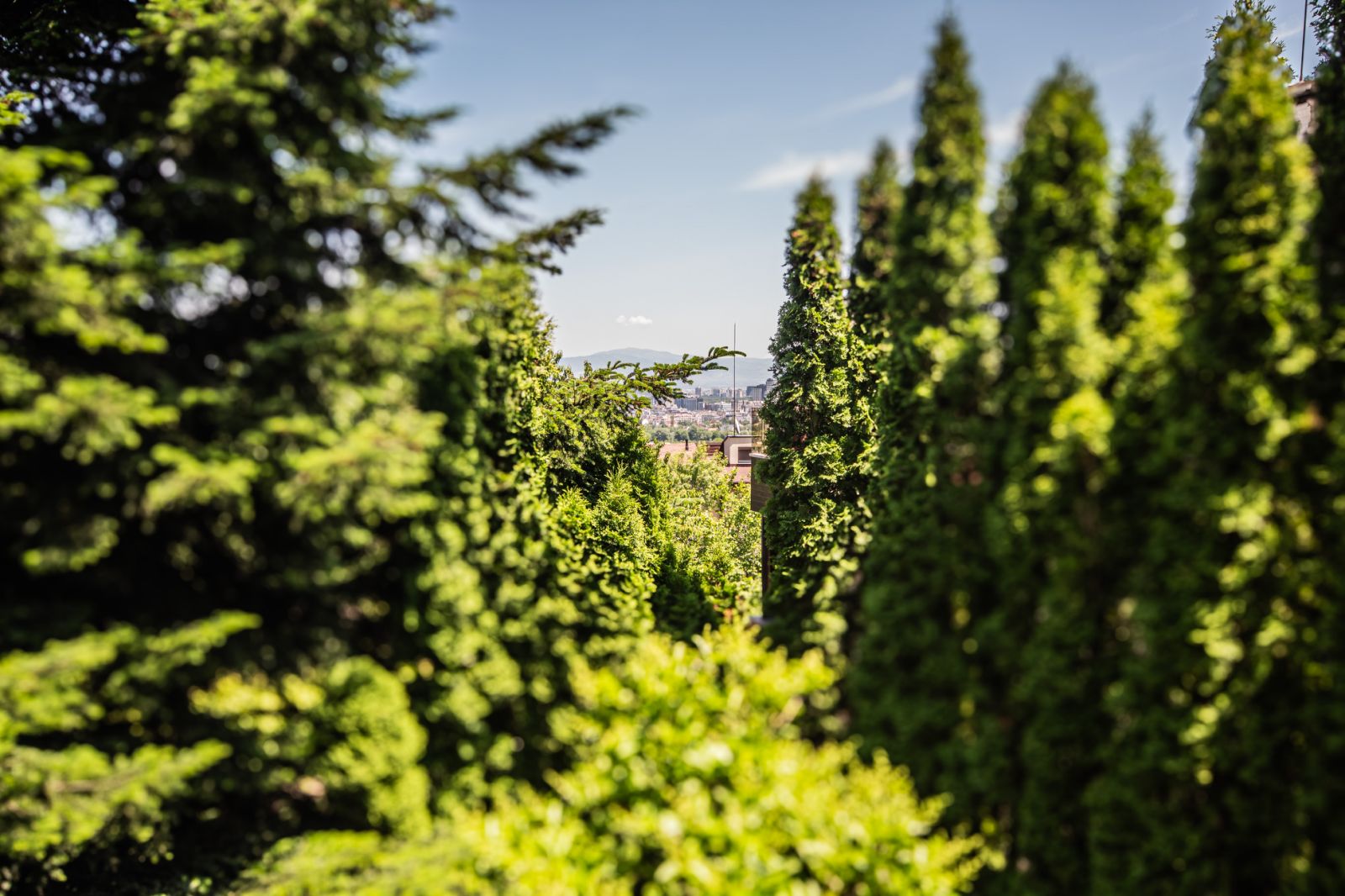 0-02-05-ce0f0dfe7af9ec03eeb1303104b4fa198a74b9104a08e8869d1d16981ef9d85e_2008f7eadd06b7d5