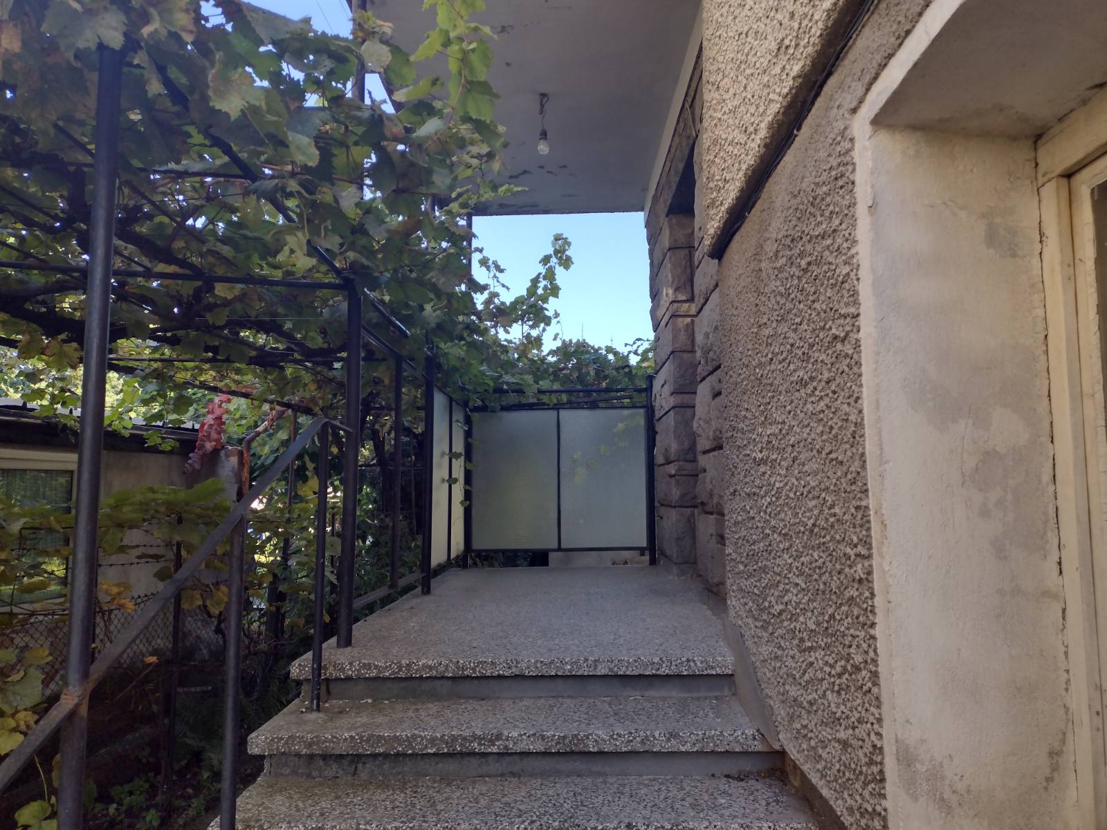 viber_изображение_2024-09-27_12-13-03-610