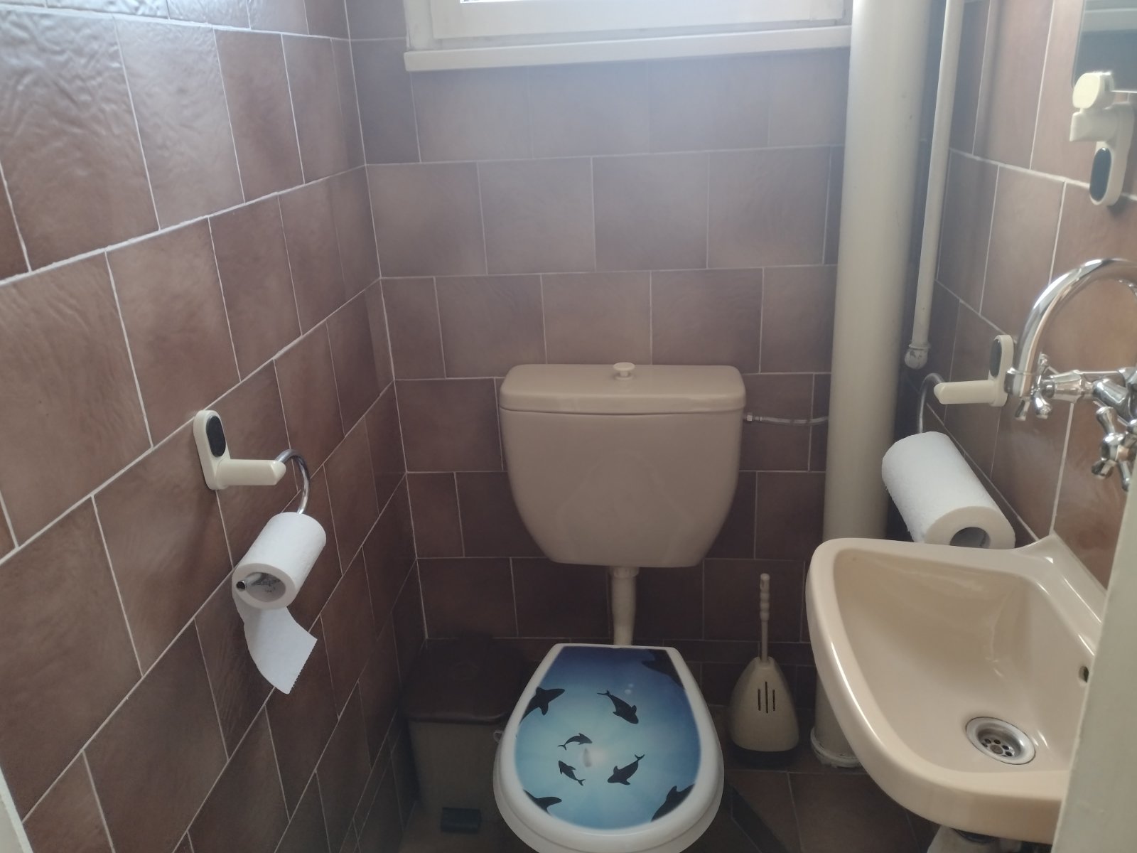 viber_изображение_2024-09-27_12-13-03-753