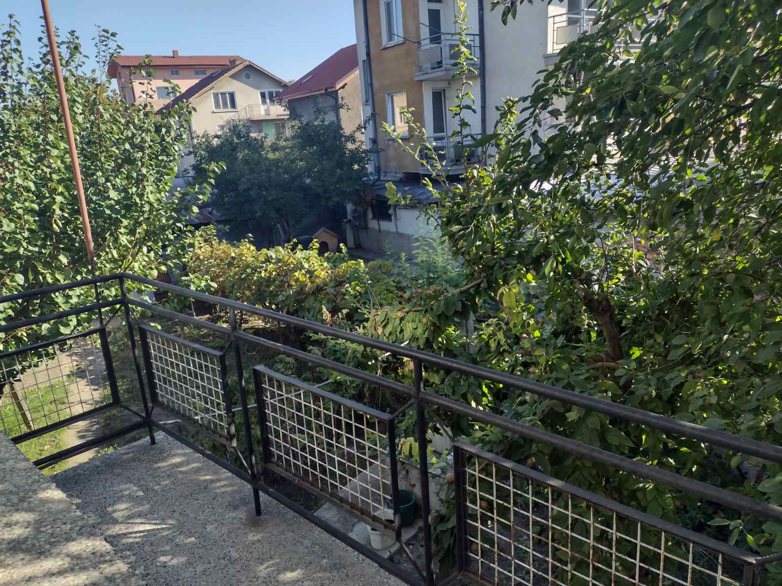 viber_изображение_2024-09-27_12-13-03-934