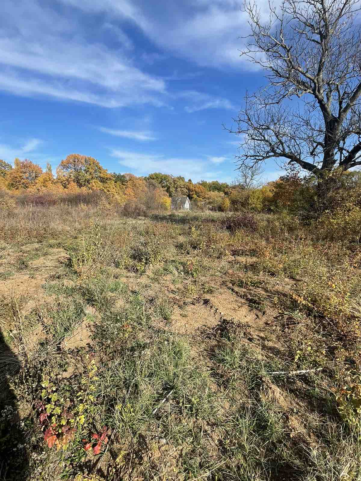 viber_изображение_2025-11-03_11-48-02-176