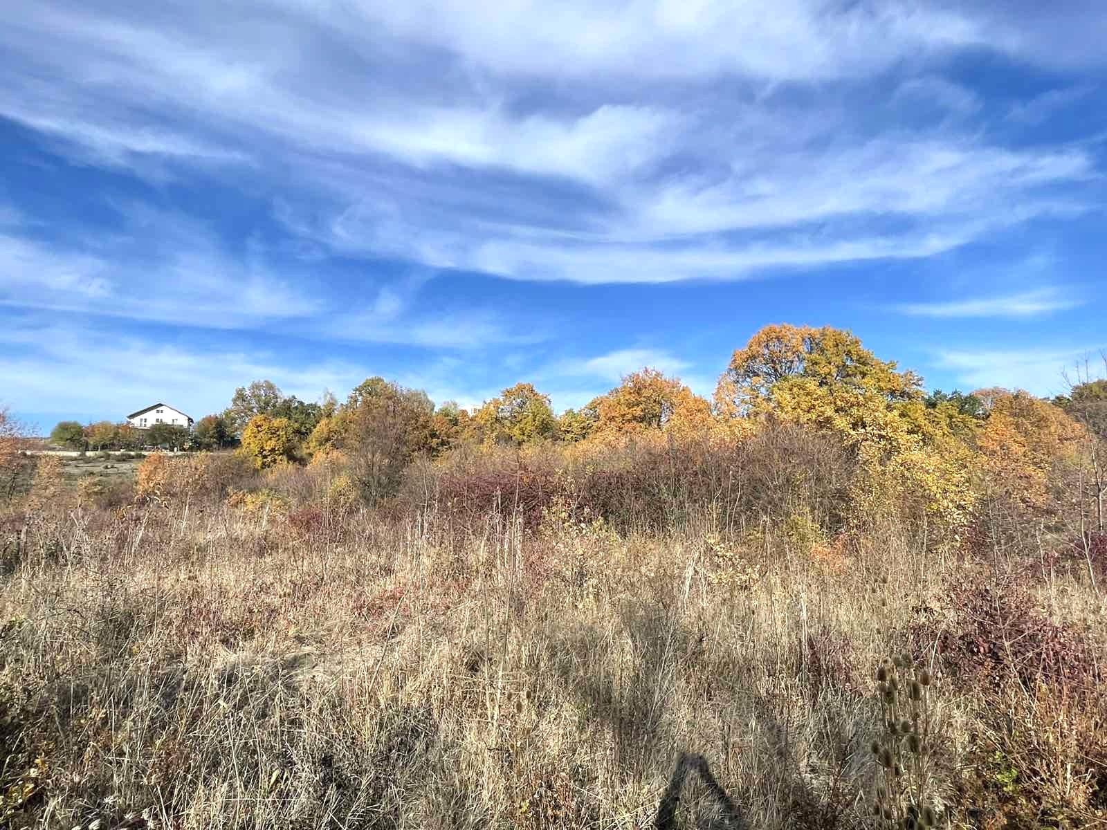 viber_изображение_2025-11-03_11-48-02-393