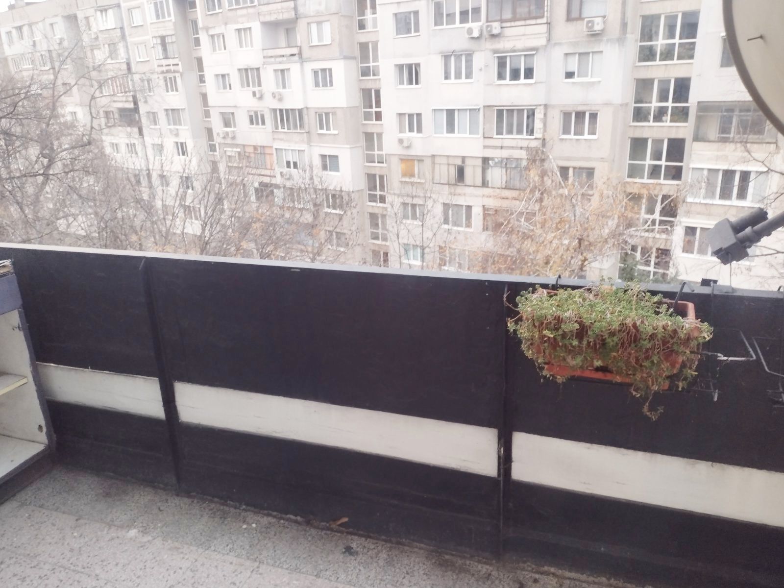 viber_изображение_2025-12-04_11-43-23-547