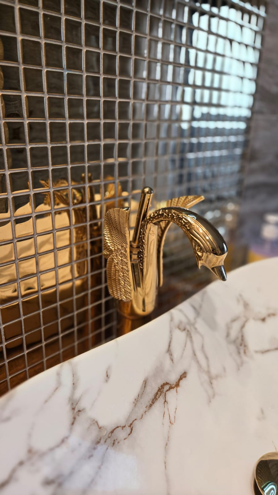 viber_image_2026-02-06_10-58-33-716