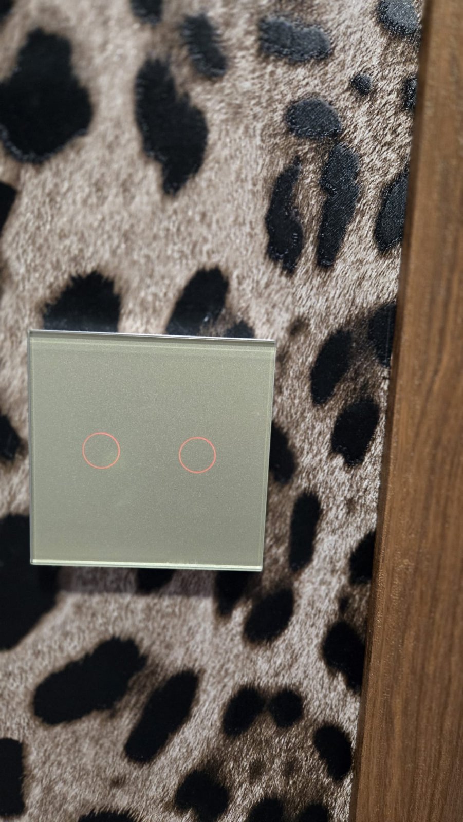 viber_image_2026-02-06_10-58-33-766