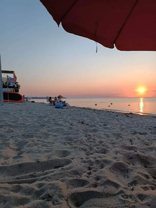 viber_image_2026-02-20_14-10-09-450