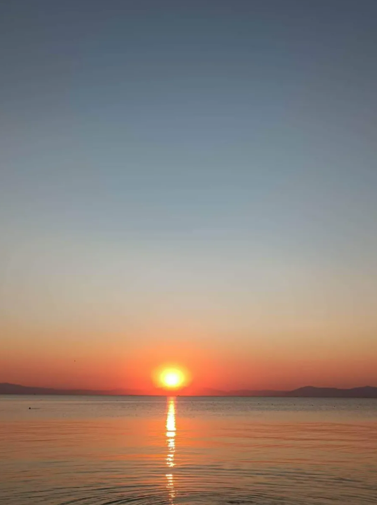 viber_image_2026-02-20_14-10-10-208