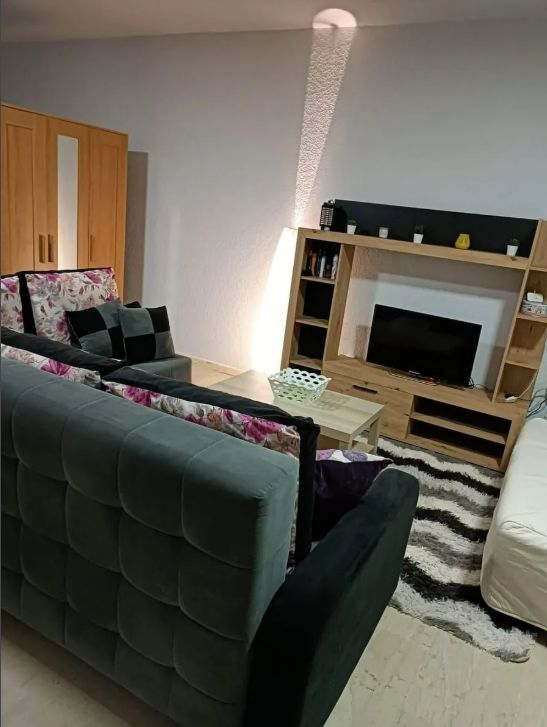 viber_image_2026-02-20_14-10-11-595