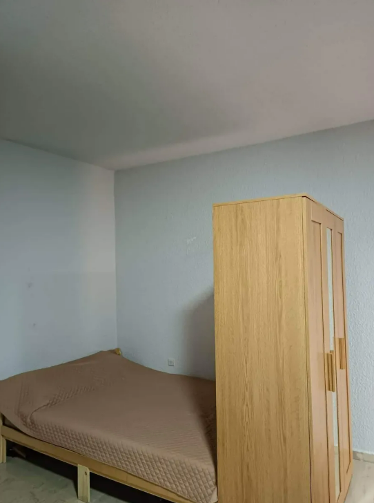 viber_image_2026-02-20_14-10-17-927