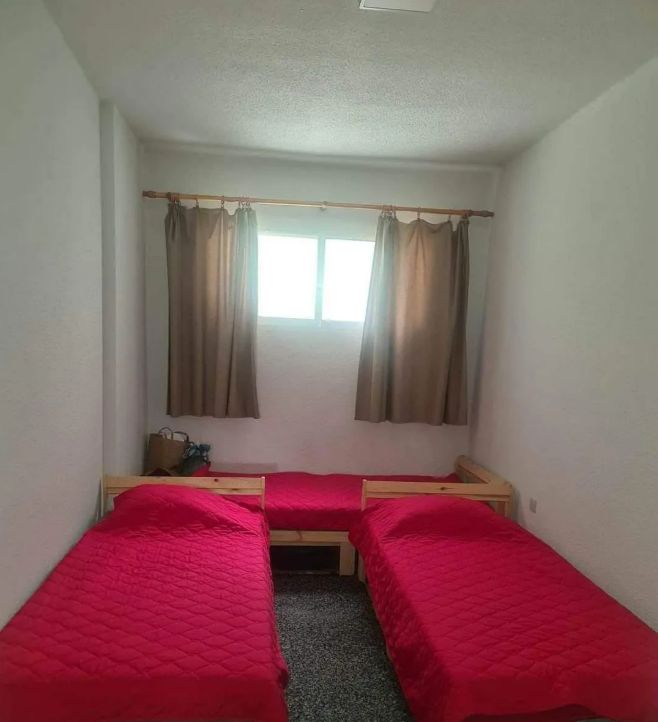 viber_image_2026-02-20_14-10-19-173