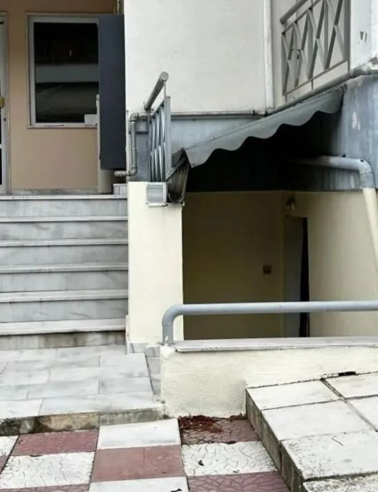 viber_image_2026-02-20_14-10-21-570