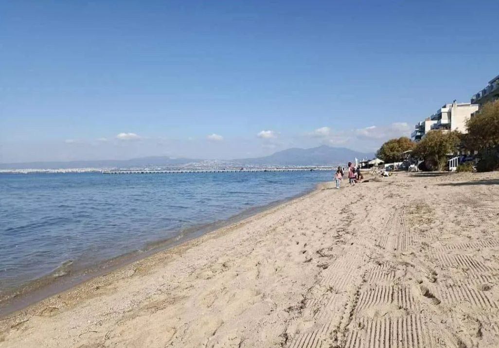 viber_image_2026-02-20_14-10-23-605