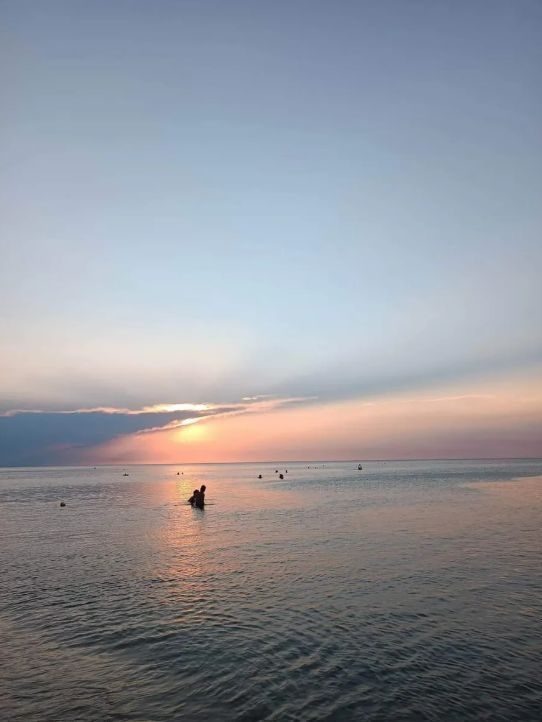 viber_image_2026-02-20_14-10-24-422