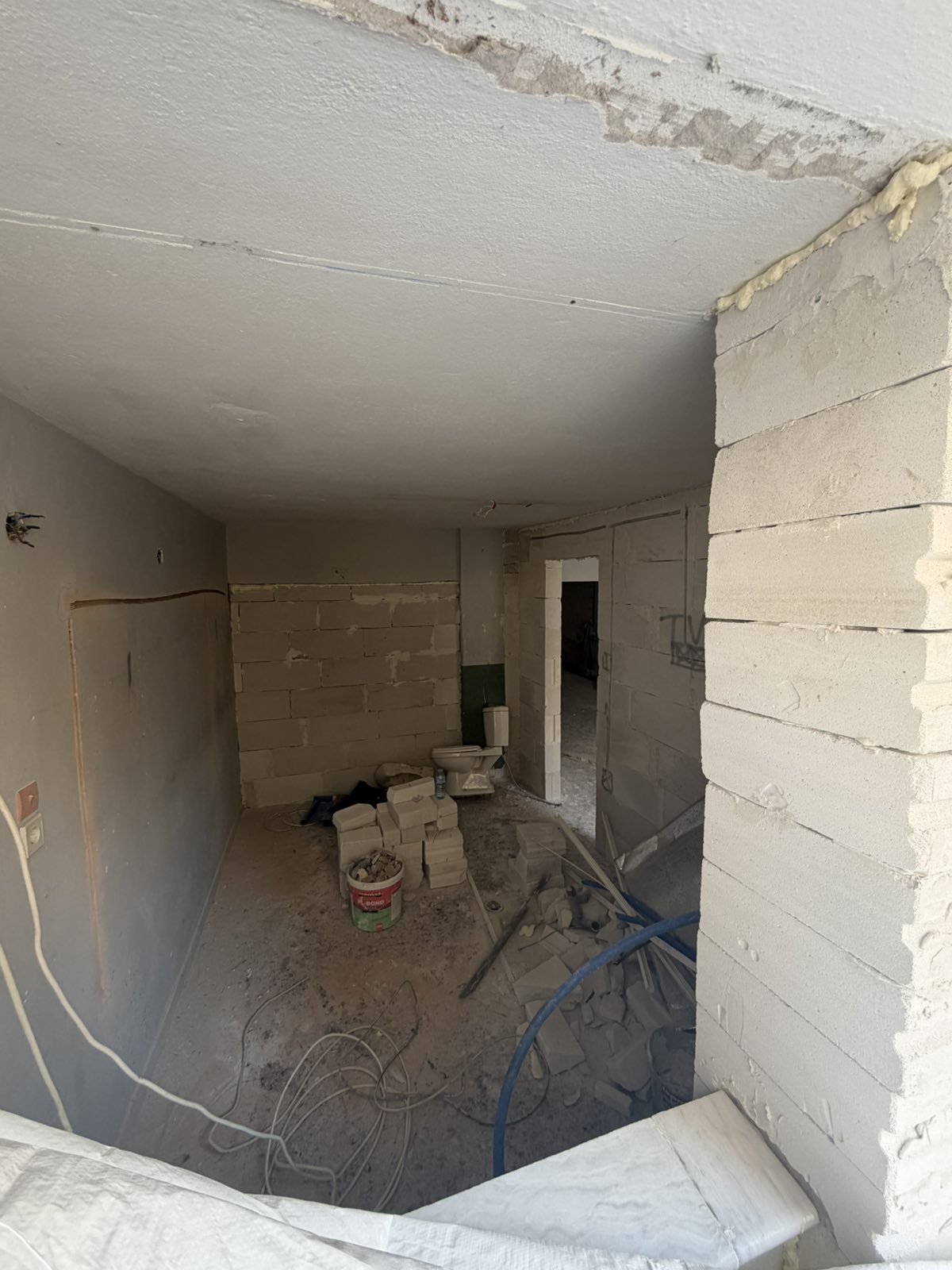 viber_image_2026-02-23_10-02-30-514