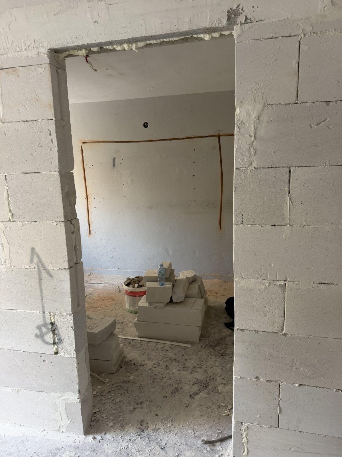 viber_image_2026-02-23_10-09-35-075