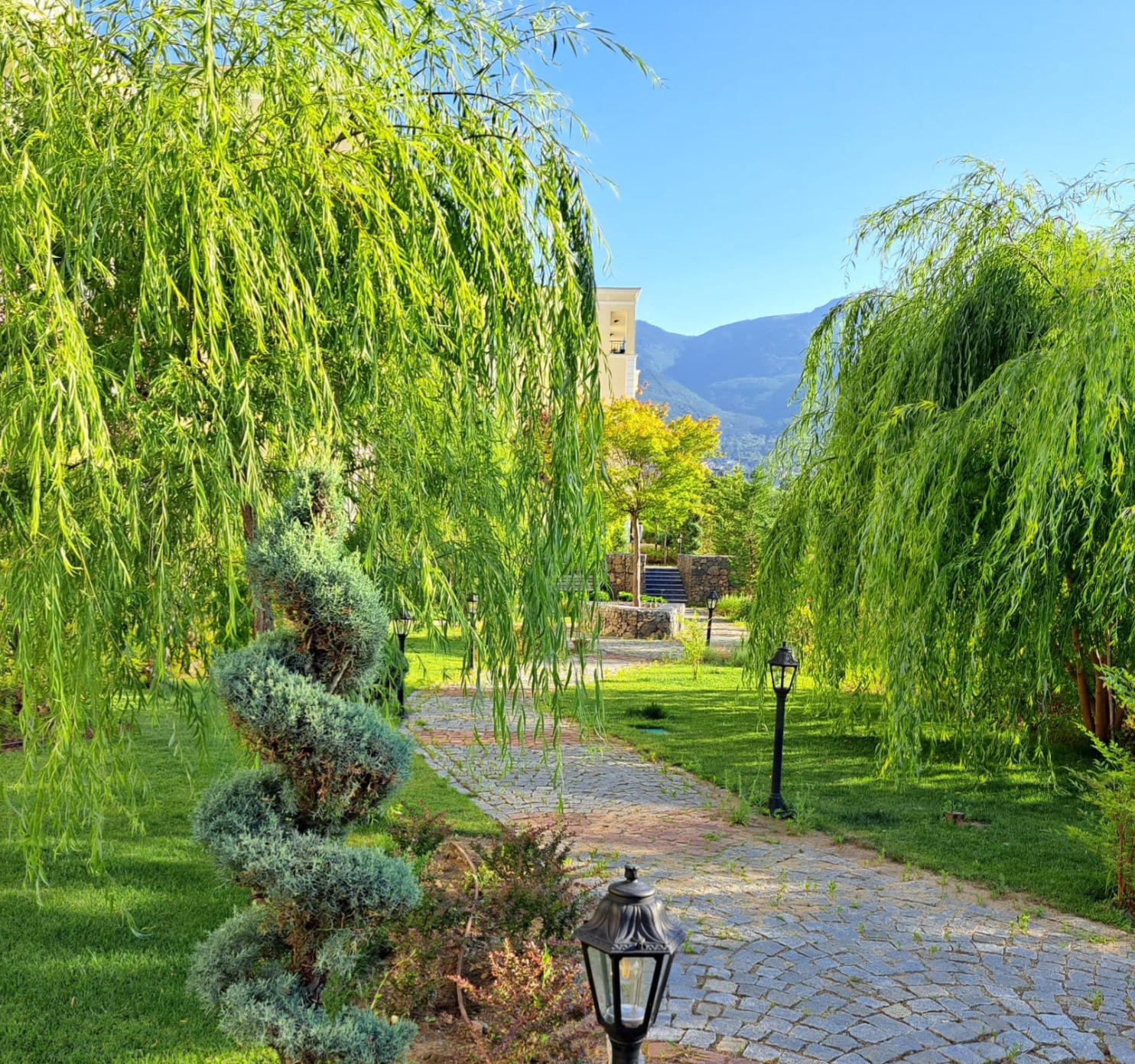 2c174894485095423_yx