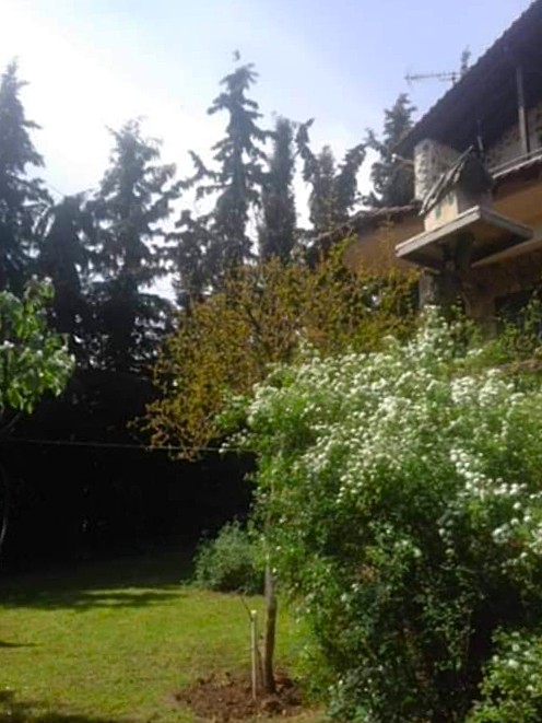 viber_изображение_2026-02-25_15-58-18-290