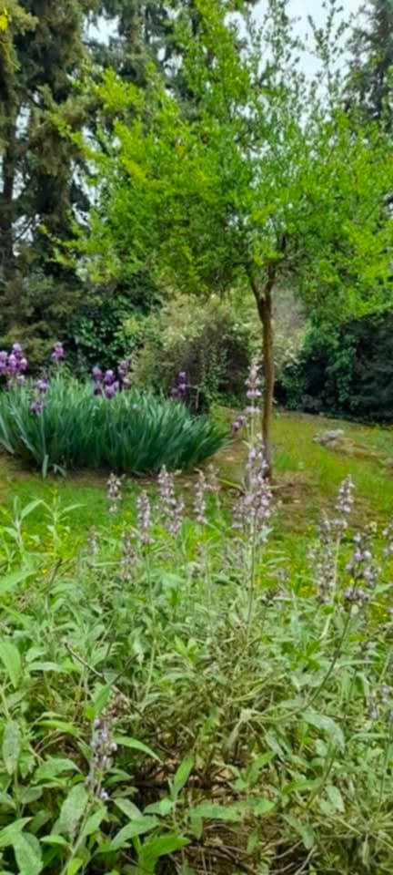 viber_изображение_2026-02-25_15-58-18-364