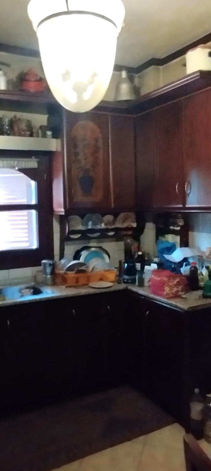 viber_изображение_2026-02-25_15-58-38-297