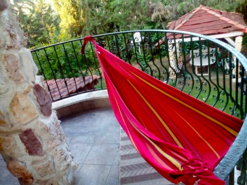 viber_изображение_2026-02-25_15-59-03-495