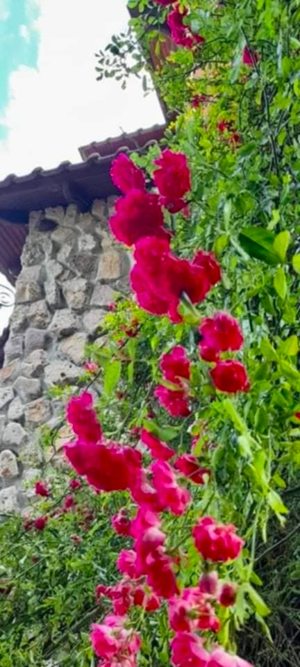 viber_изображение_2026-02-25_15-59-03-573