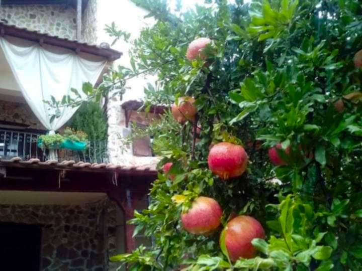 viber_изображение_2026-02-25_15-59-40-782