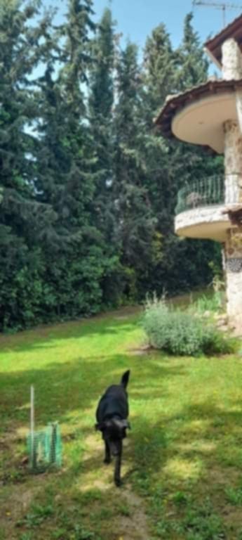 viber_изображение_2026-02-25_15-59-40-862