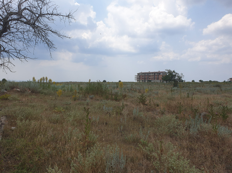 Екранна снимка 2026-04-16 114429