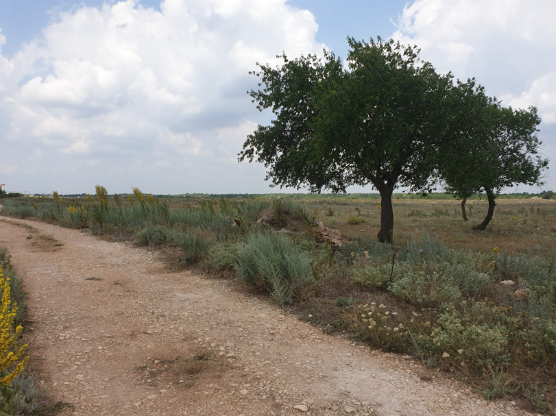 Екранна снимка 2026-04-16 114450