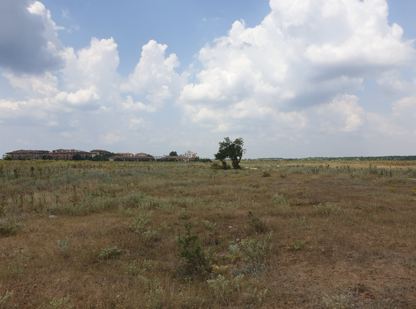 Екранна снимка 2026-04-16 114517