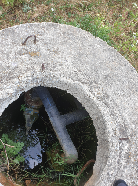 Екранна снимка 2026-04-16 114540