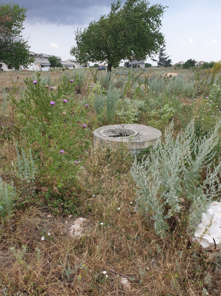 Екранна снимка 2026-04-16 114557