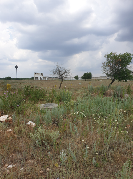 Екранна снимка 2026-04-16 114615