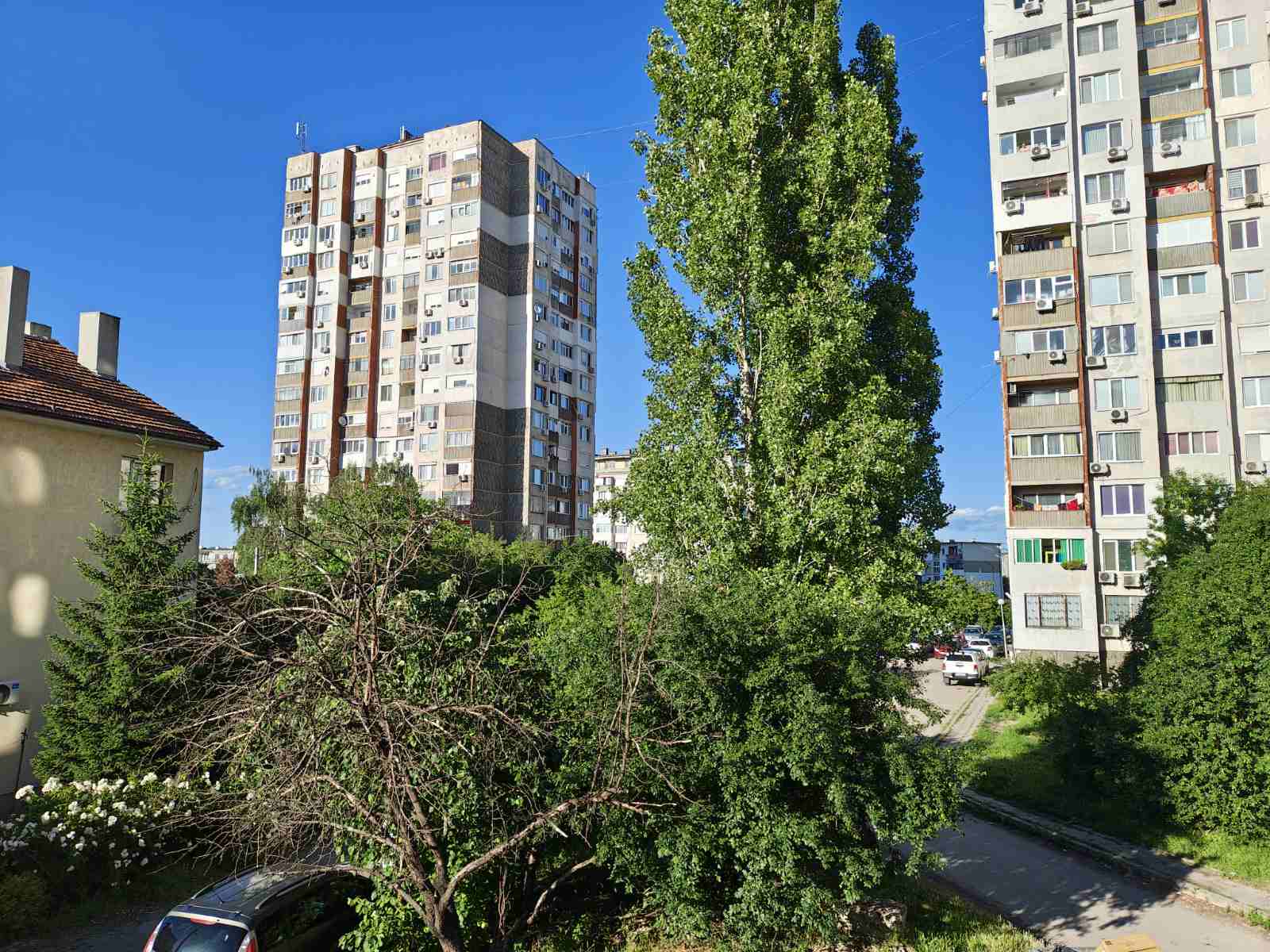 viber_изображение_2026-06-15_09-54-02-099